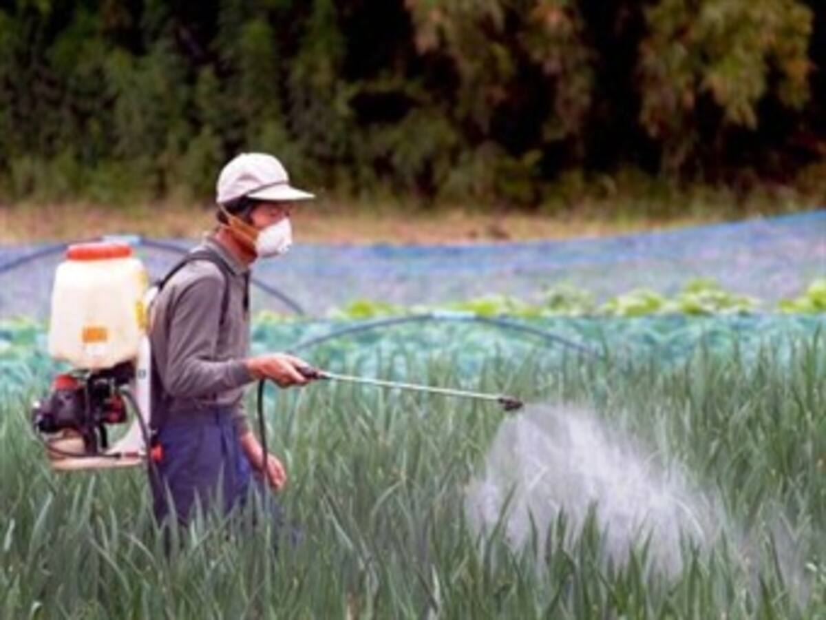 El pesticida endosulfán será prohibido por sus graves efectos sobre la salud