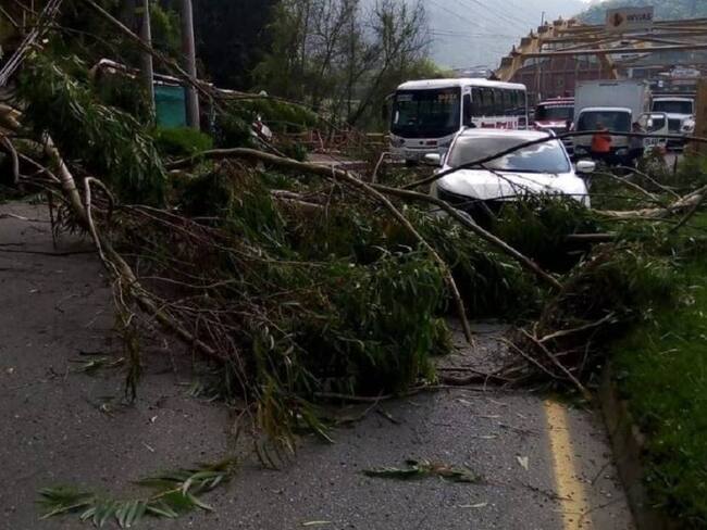 Crédito: Alcaldía de Manizales.