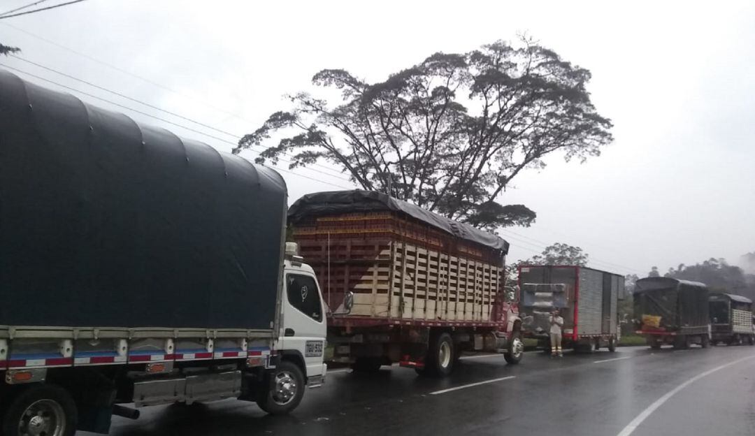 Transportadores del Tolima