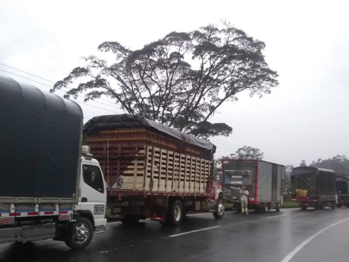 Transportadores del Tolima no se movilizan a regiones afectadas por paro