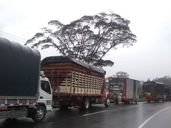 Transportadores del Tolima
