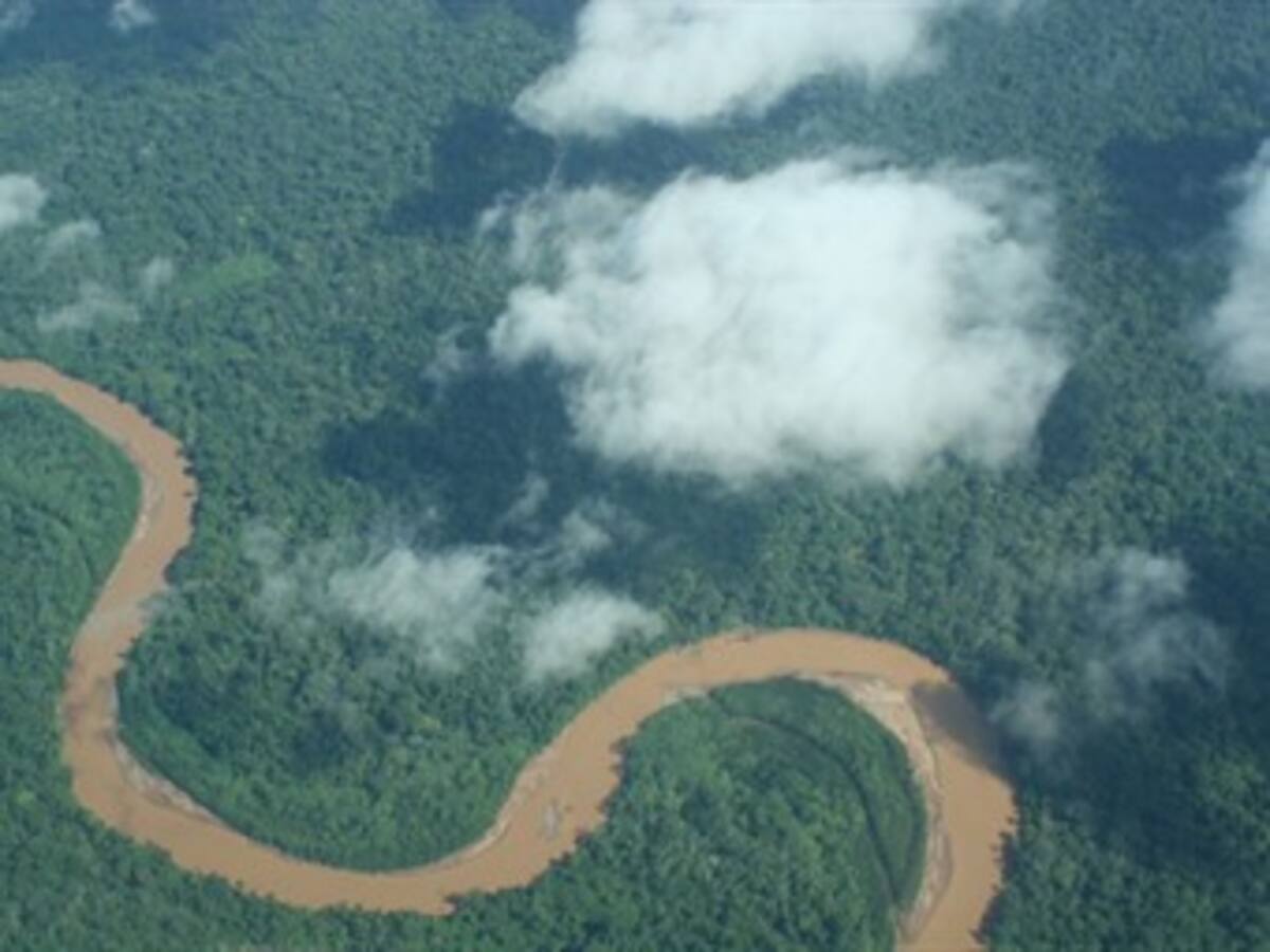 Científicos españoles comprarán 100.000 hectáreas para conservar la Amazonía