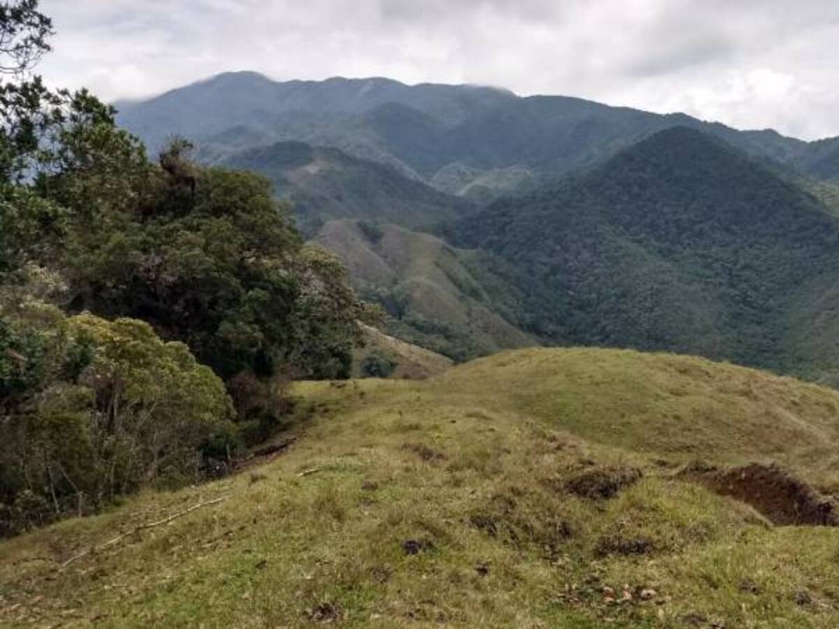 ¿Por qué los campesinos no aseguran sus cosechas ni sus animales?