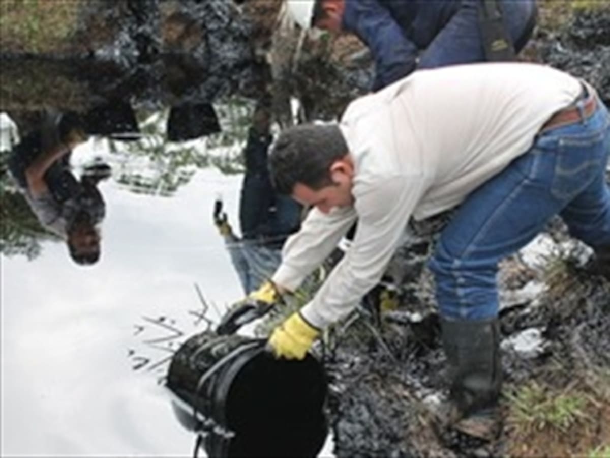 Gobierno hizo denuncia internacional por desastre ambiental en Tumaco