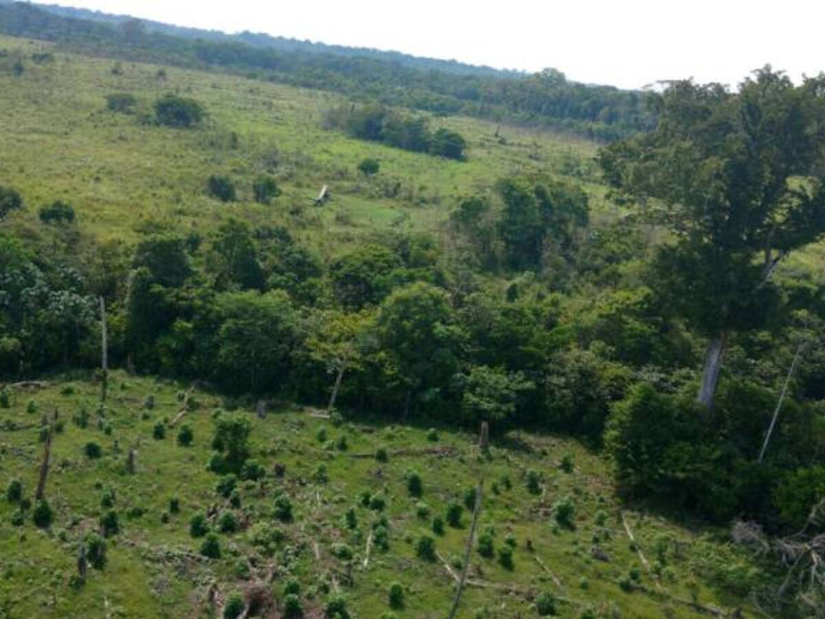 "Más de 20.481 baldíos se han adjudicado a campesinos": Santos