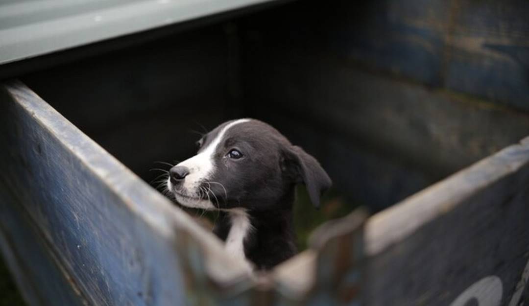Imagen de referencia / Archivo Colprensa