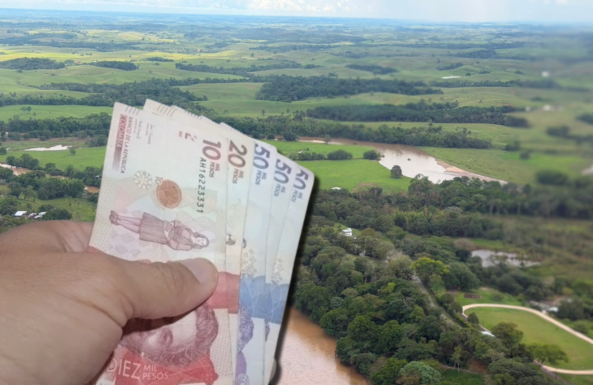 Dinero Colombia y Caquetá. Fotos: Getty Images / Suministrada