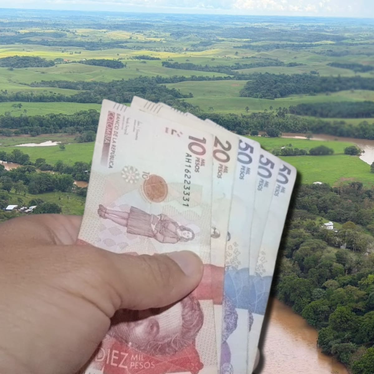 Las ‘vacunas’ de ‘Calarcá’ en Caquetá terminan con recibos de “paz y salvo”