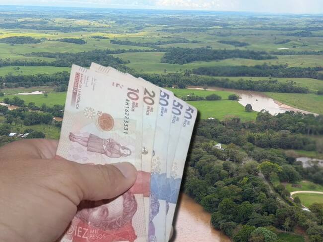 Dinero Colombia y Caquetá. Fotos: Getty Images / Suministrada