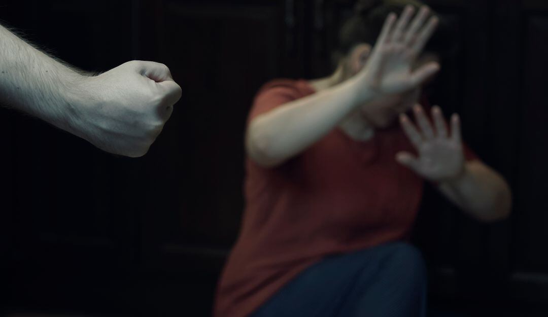 Imagen de referencia.