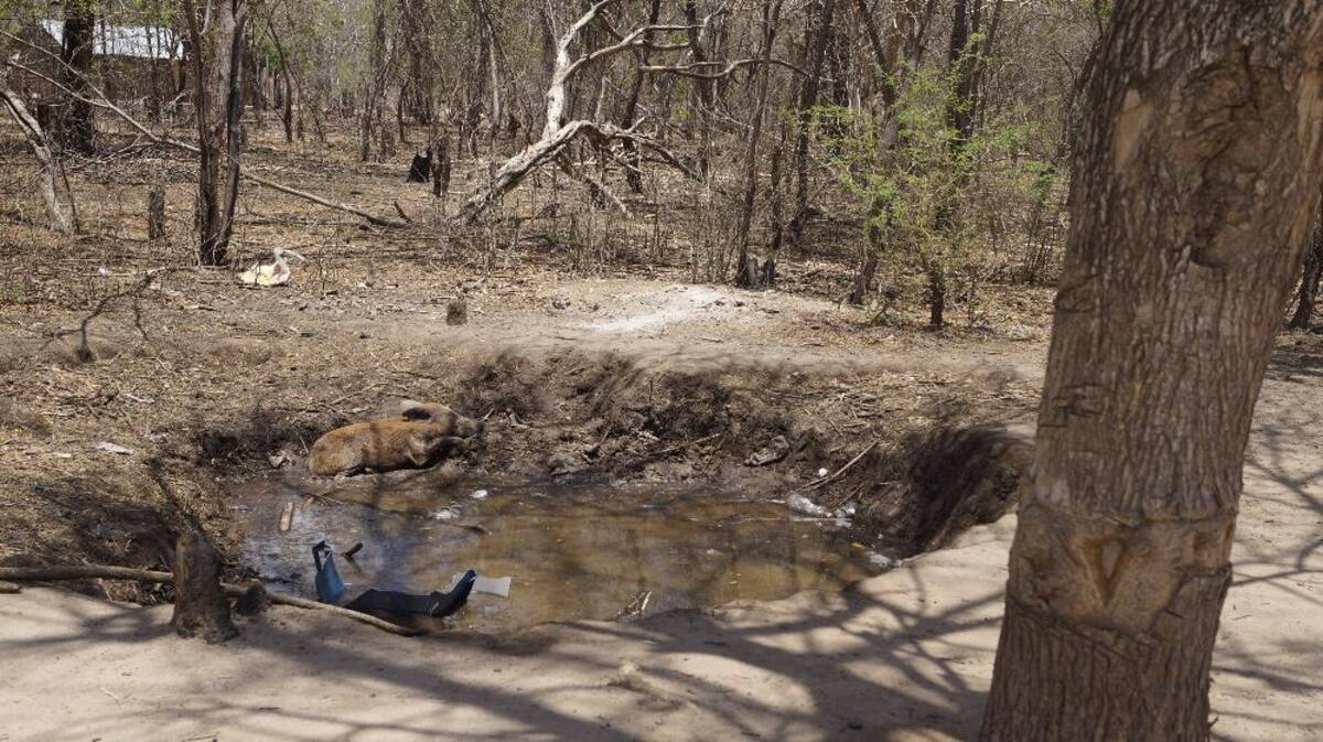 Recorrido de Caracol Radio por las zonas que aguantan sed. Fotos de Luis Enrique Rodríguez