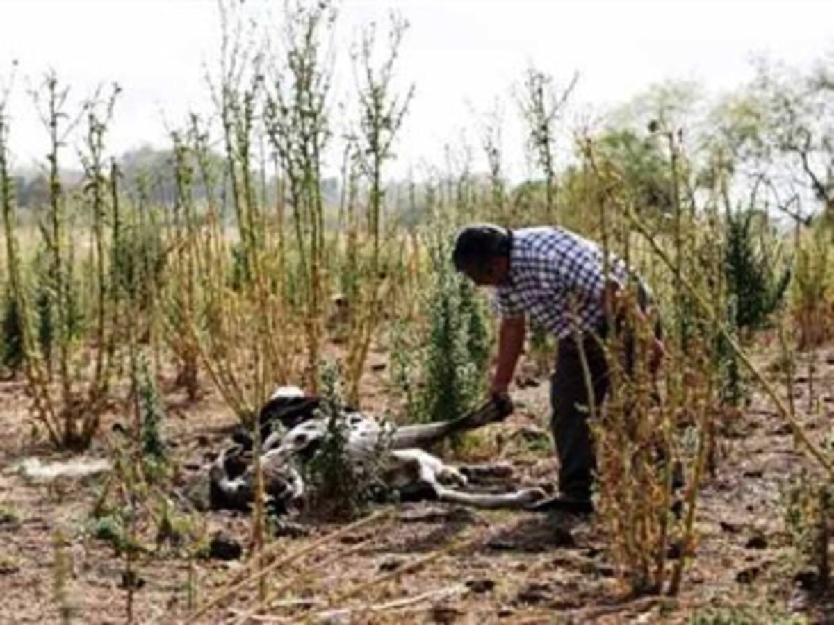 Santos advierte que “la sequía más fuerte” llegará a inicios de 2013