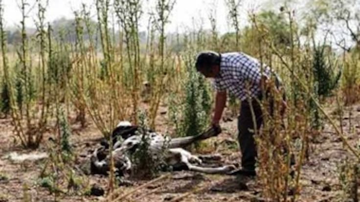 Santos advierte que “la sequía más fuerte” llegará a inicios de 2013