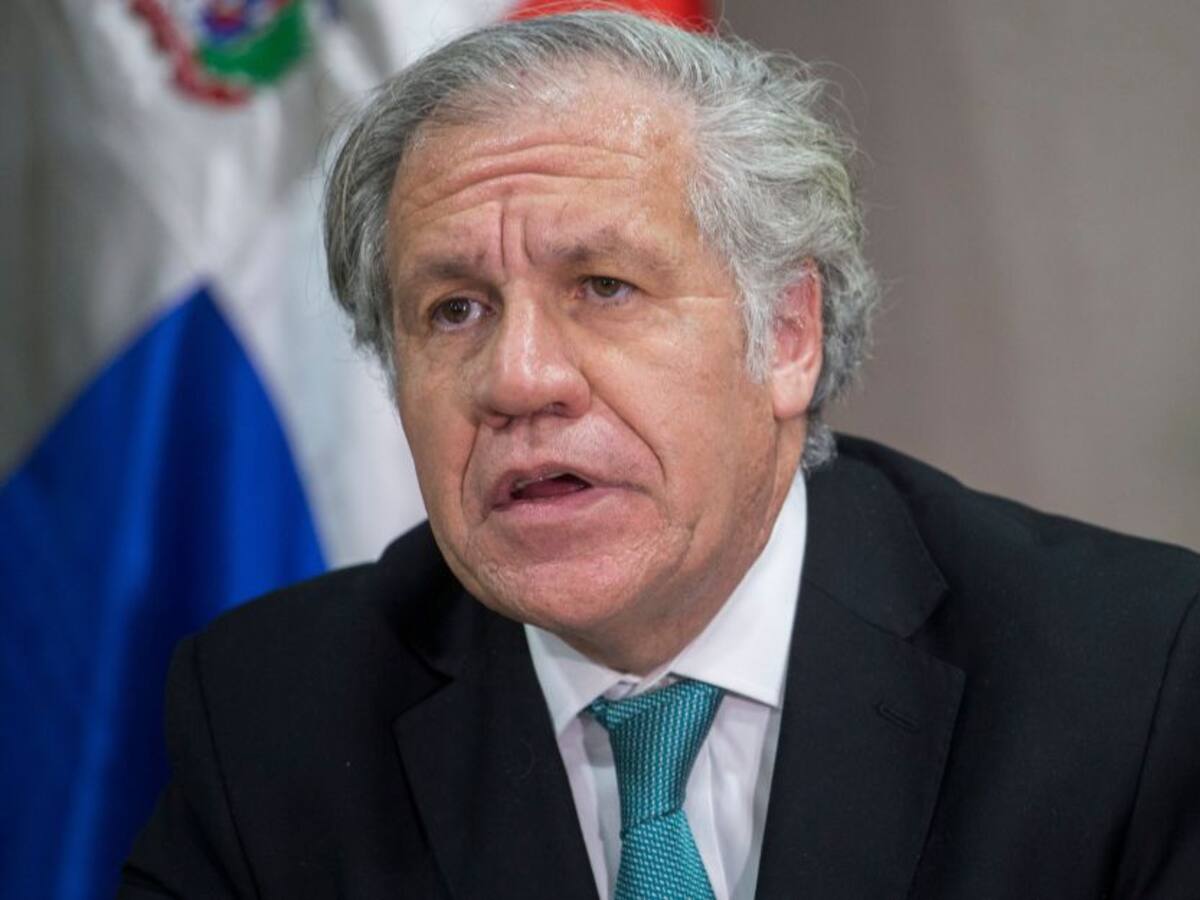 OEA felicita a Bolivia por buen comportamiento tras jornada electoral