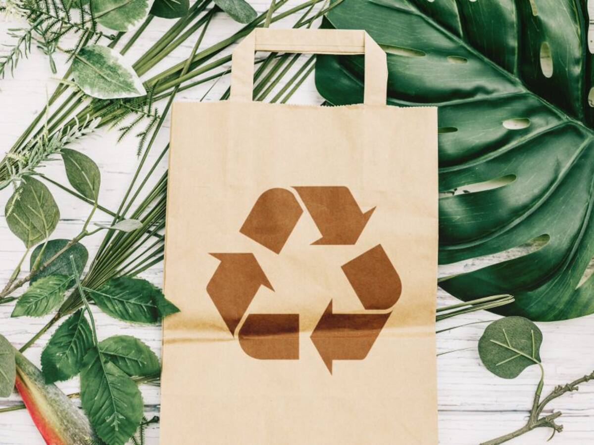 Economía circular enfocada en nuevos envases y empaques