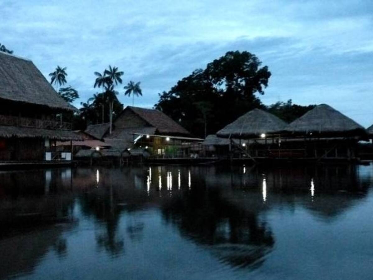 Ni la selva del Amazonas se escapa a la corrupción