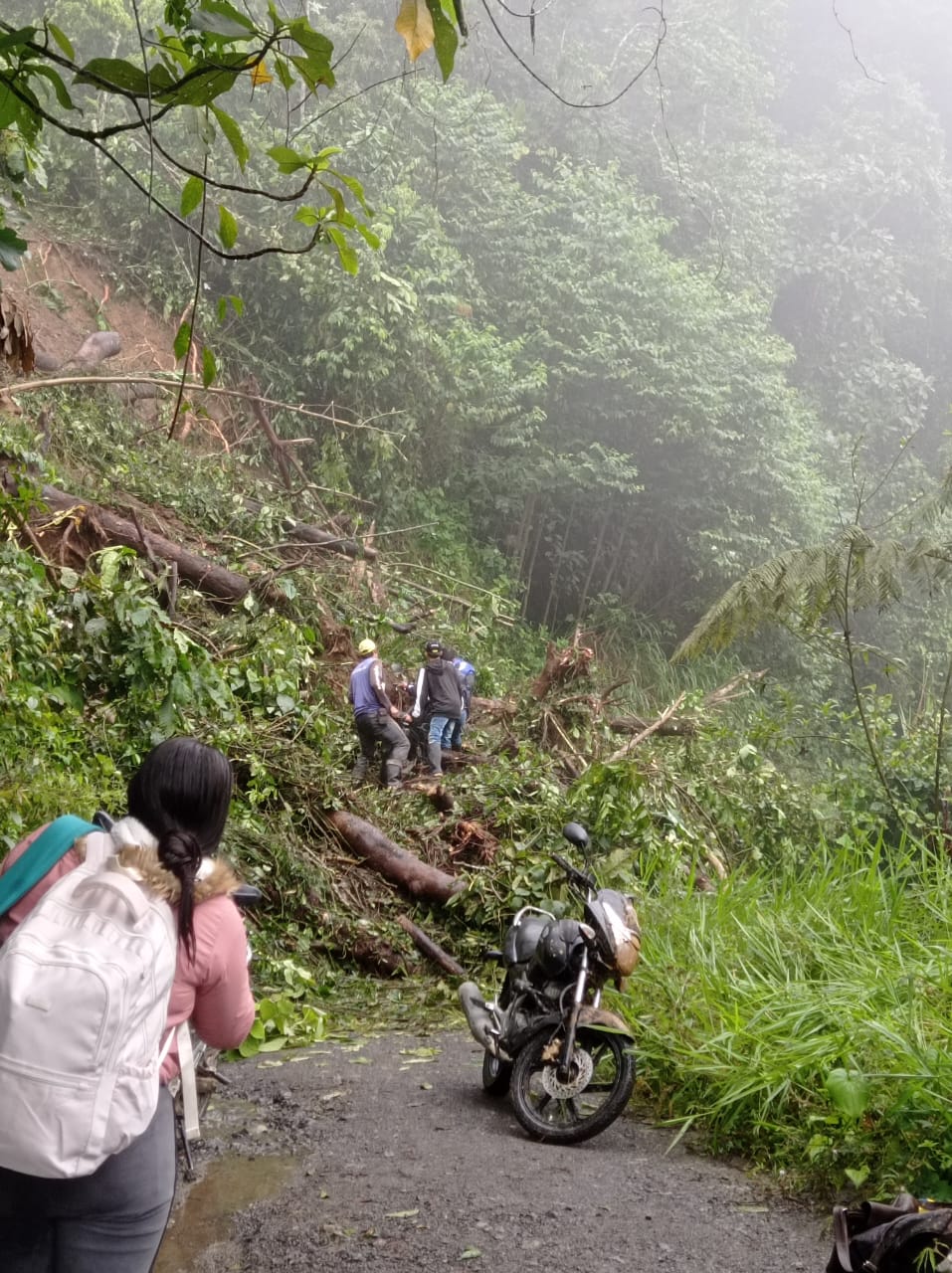 Fotografía suministrada: Gobernación de Risaralda