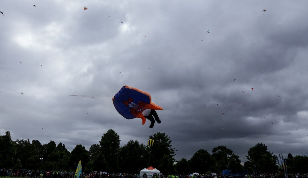 Agosto, mes de las cometas