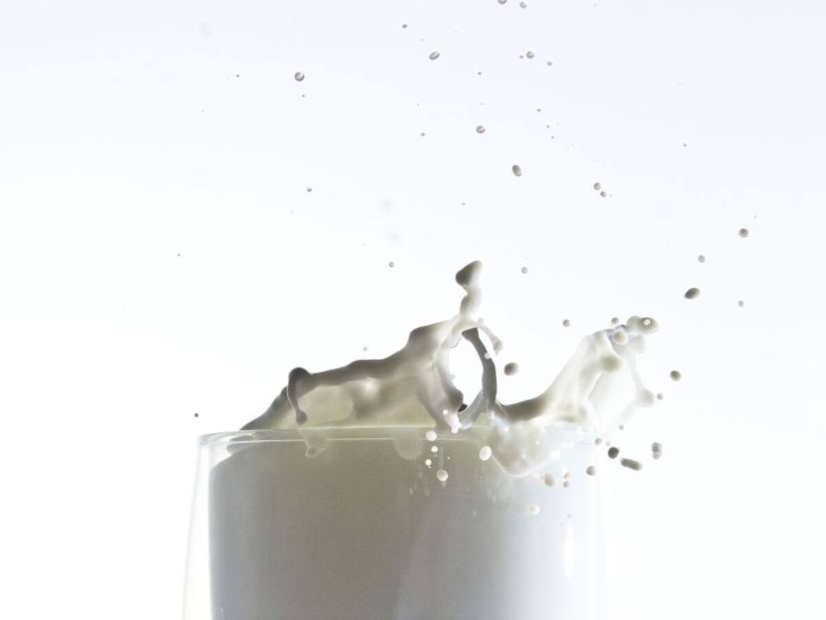 Beneficios de la leche de vaca