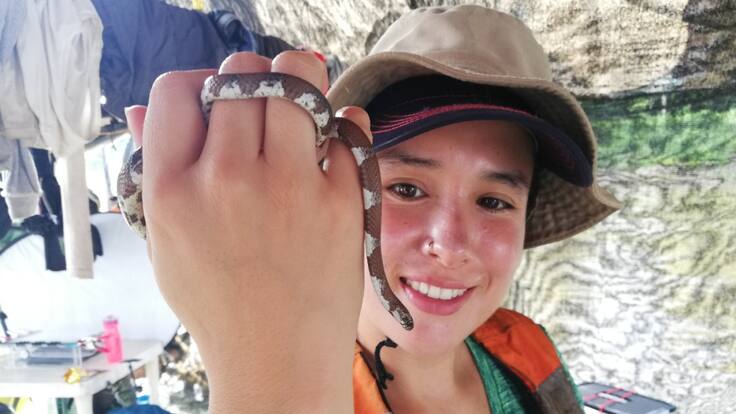 Aprendiendo sobre serpientes