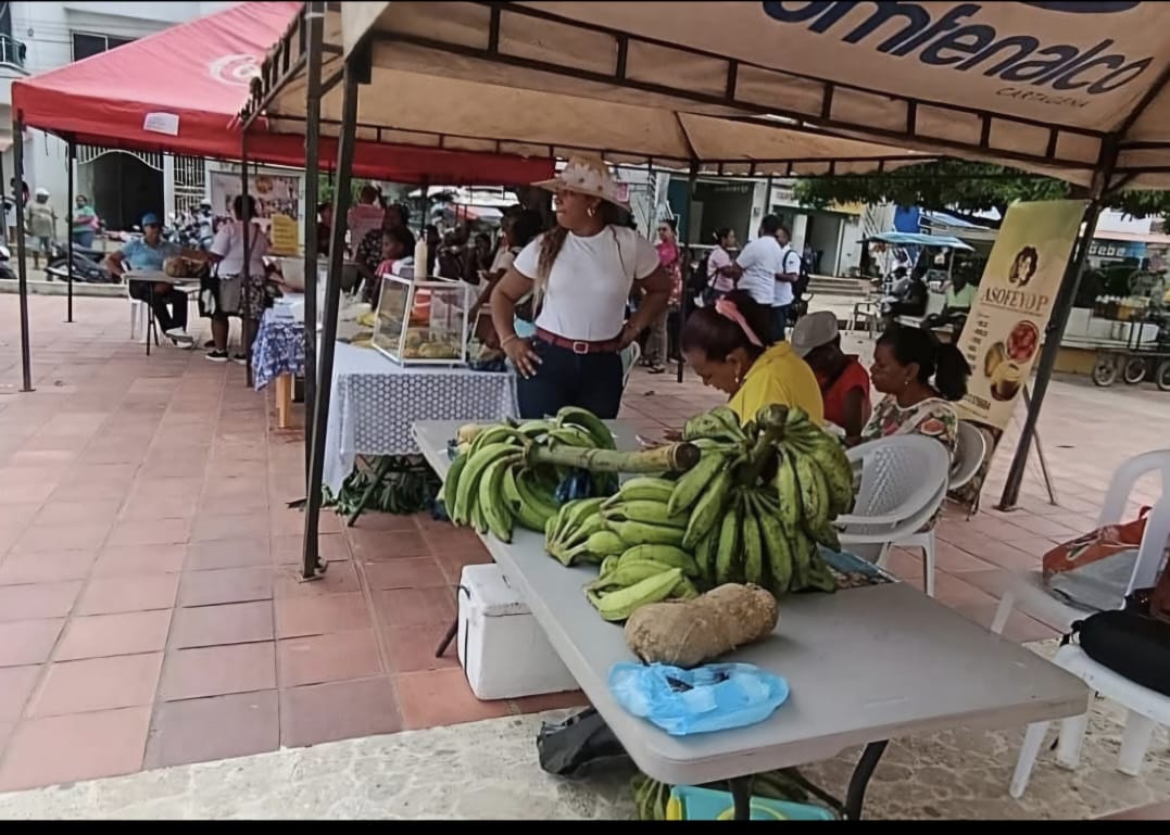 Alcaldía de María La Baja