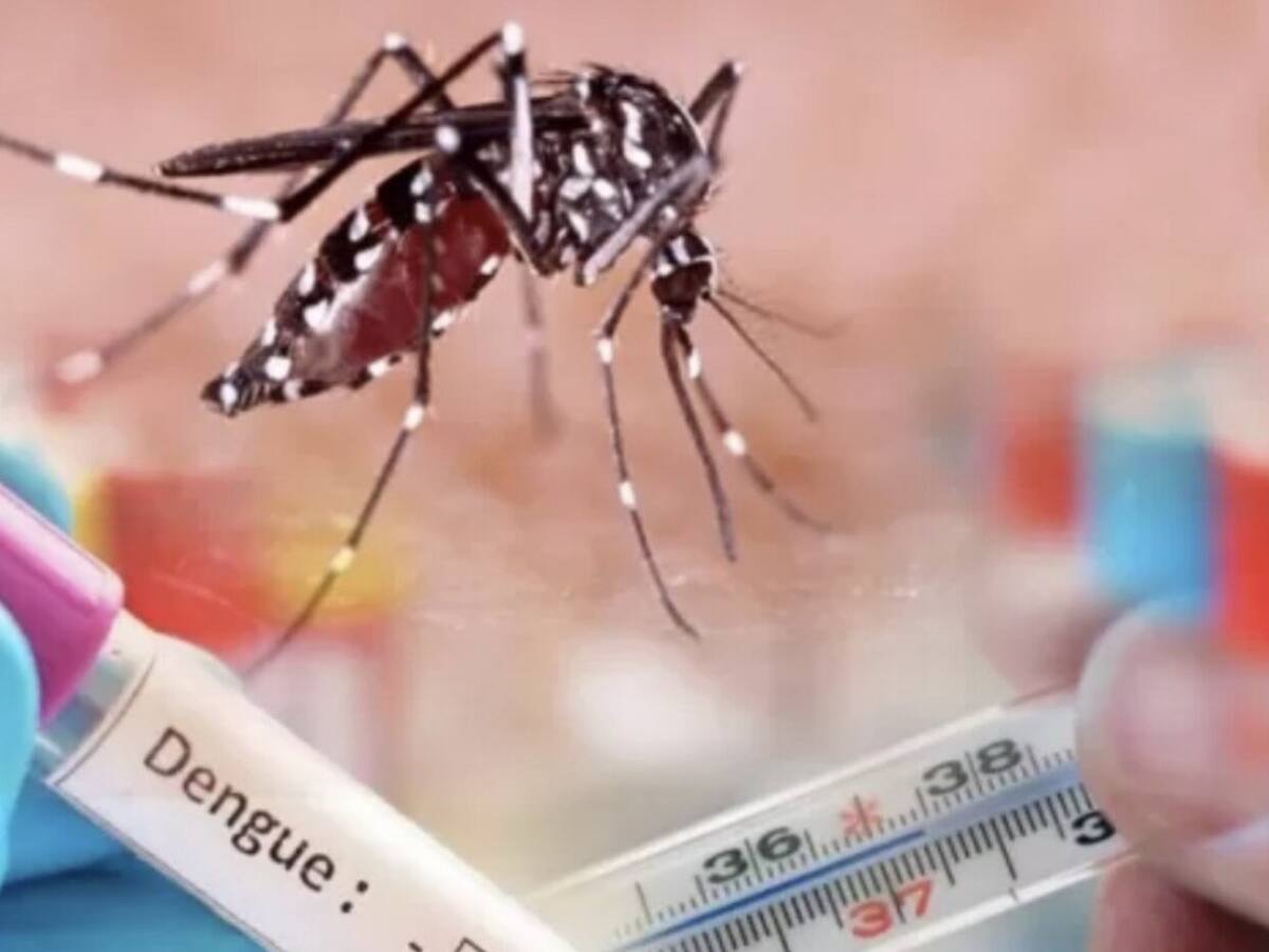 Santander lidera los contagios de dengue en Colombia