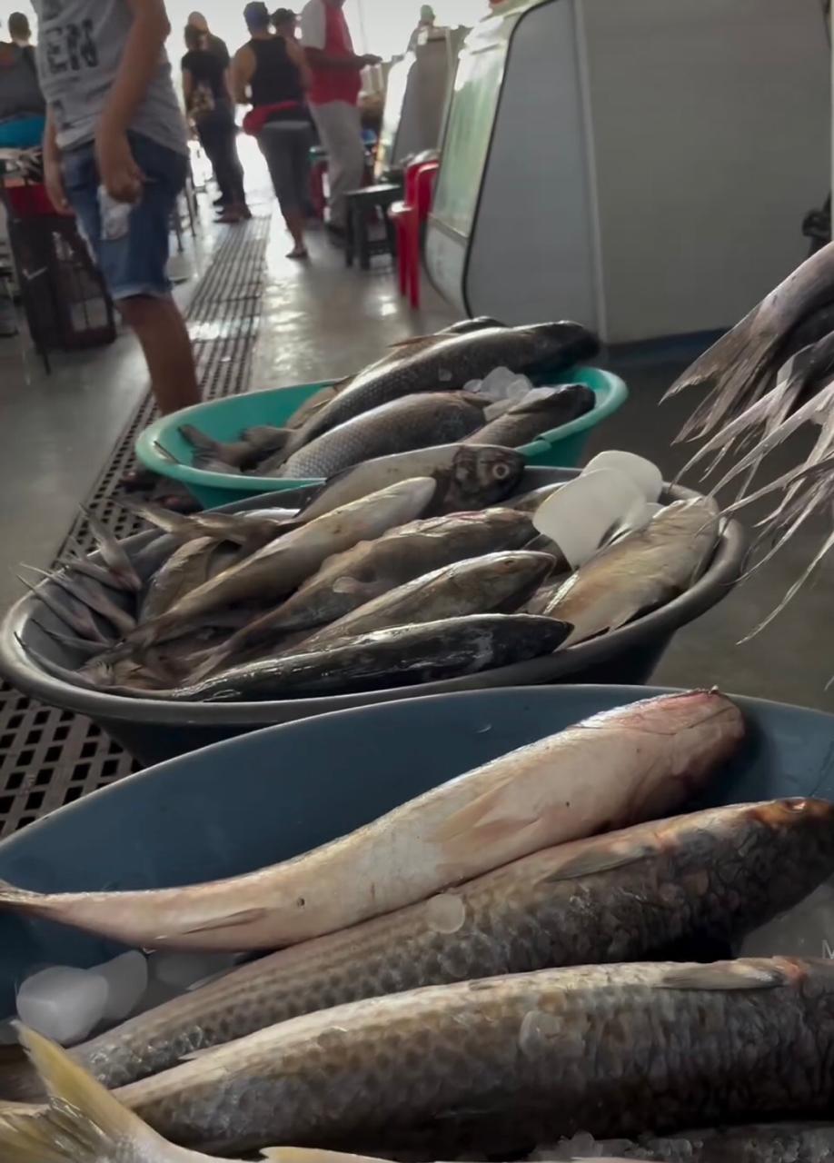 Pescados en la Plazoleta de Pescados del mercado público // Imagen tomada del vídeo de @Jesquea