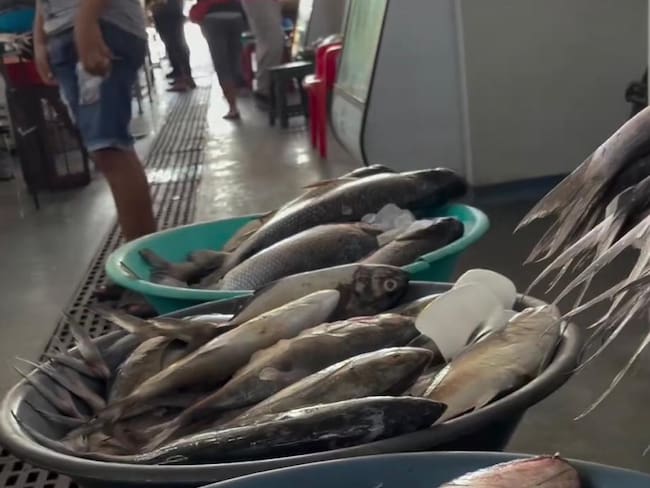 Pescados en la Plazoleta de Pescados del mercado público // Imagen tomada del vídeo de @Jesquea