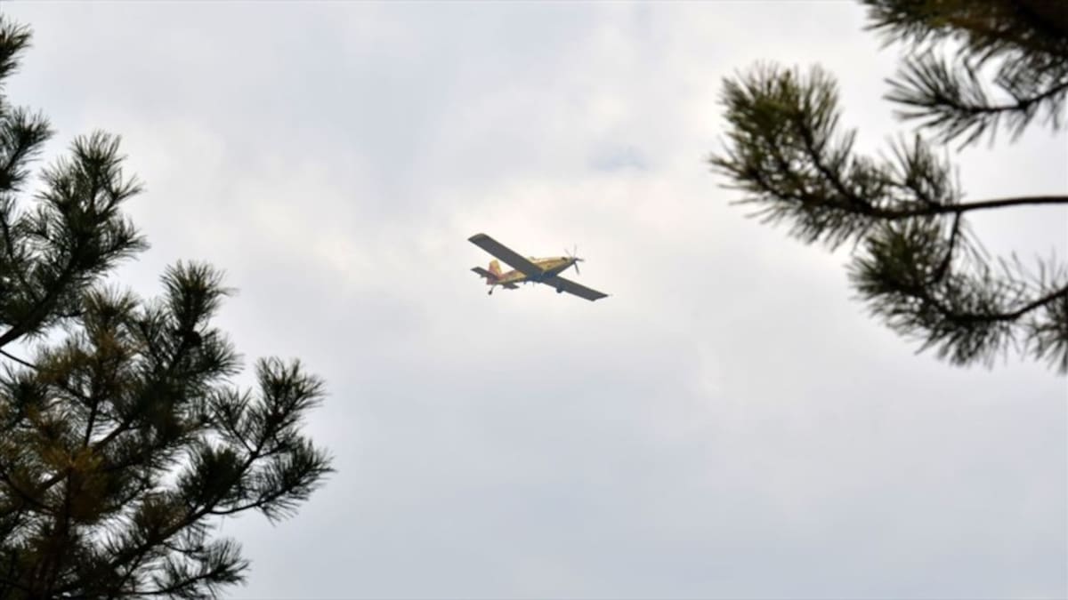 Aeronave que cubría ruta Popayán–Cali sufrió accidente cerca del Aeropuerto Alfonso Bonilla Aragón