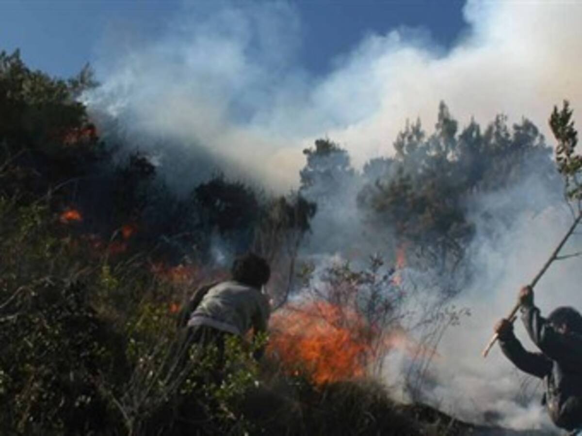 20 horas completa incendio forestal en Yumbo, Valle
