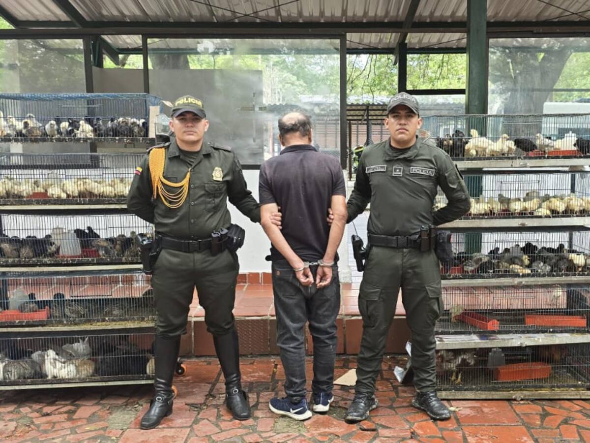 Rescatan más de 400 especies domésticas en Cúcuta: ningún establecimiento cumplía con la ley