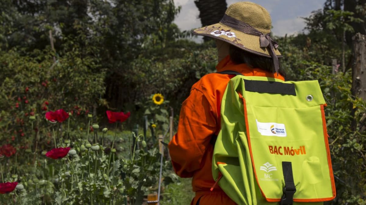 Maletas cargadas de conocimiento lleva Agrosavia al campo