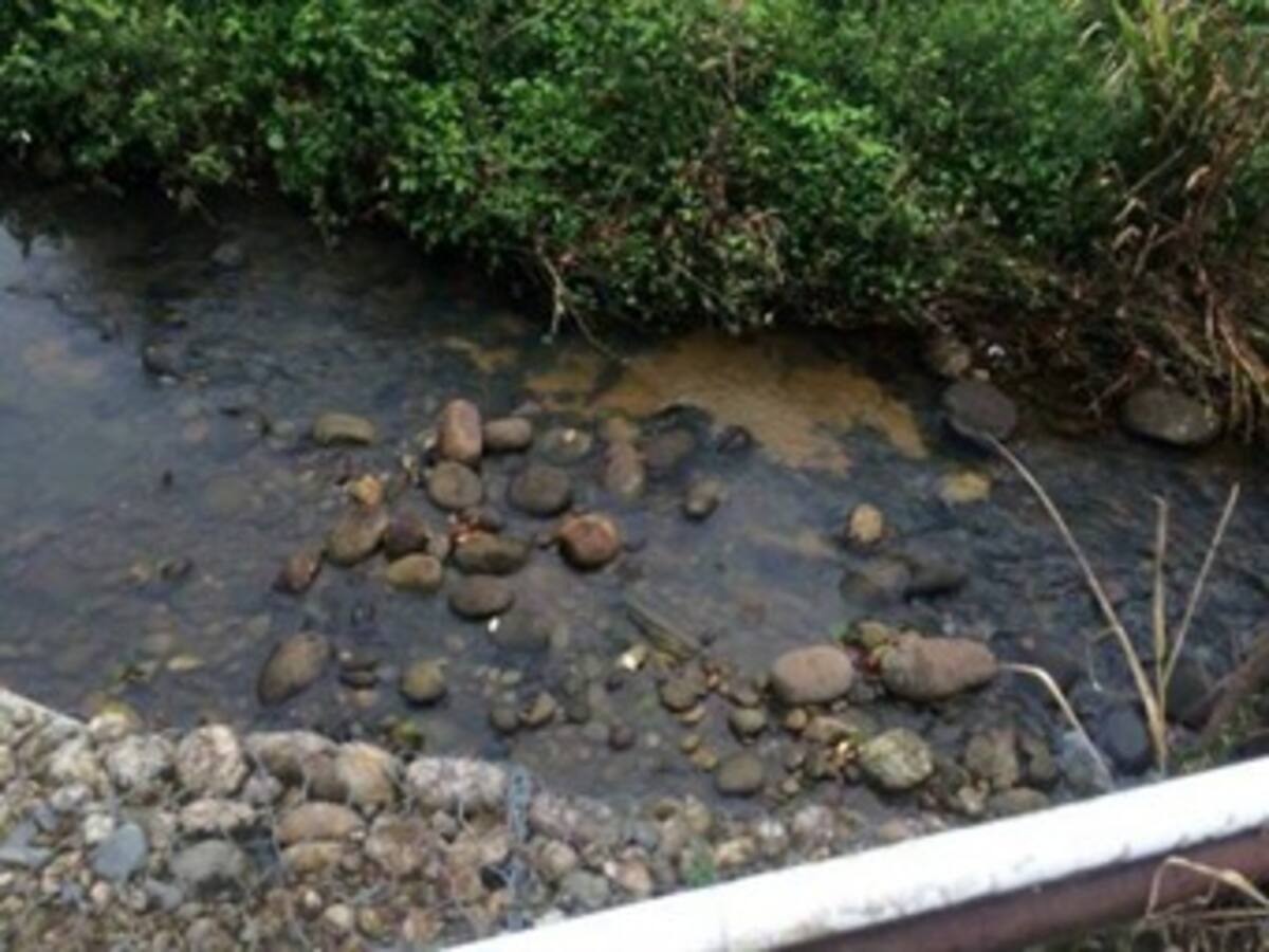 Por derrames de crudo, 6.000 familias sufrieron afectaciones en Nariño