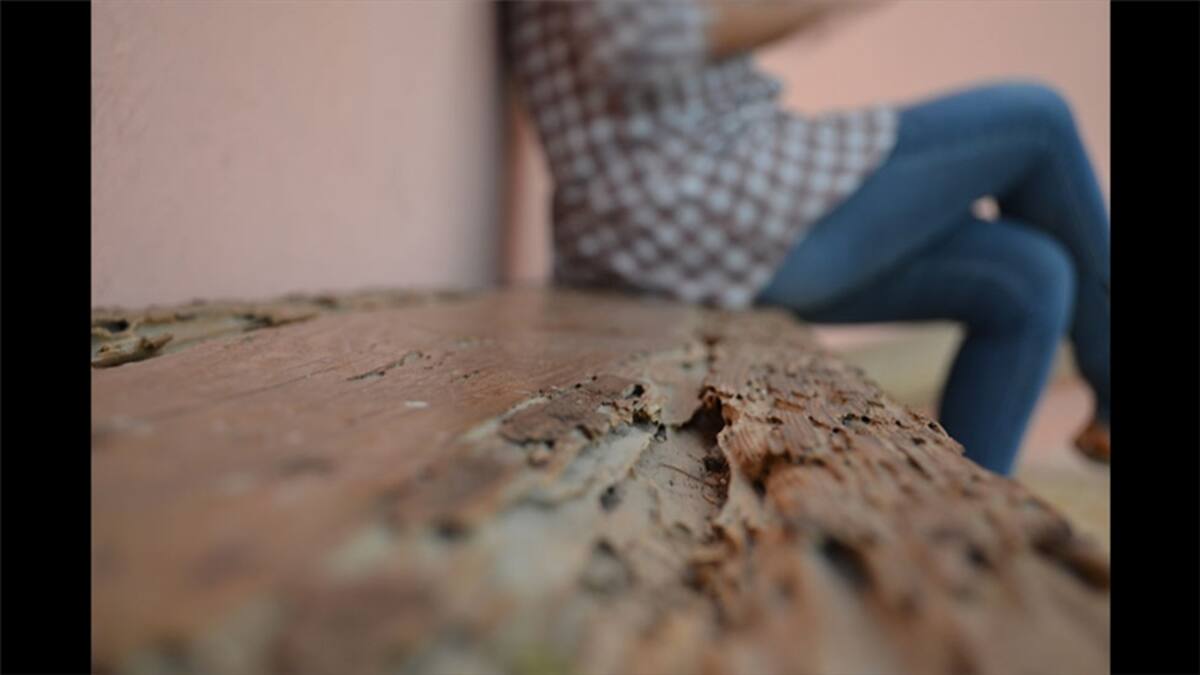 “Mi esposo visto a través de las rendijas de una escultura cinética. Foto tomada cuando paseábamos por Madrid en el 2009”. Por Janisse.