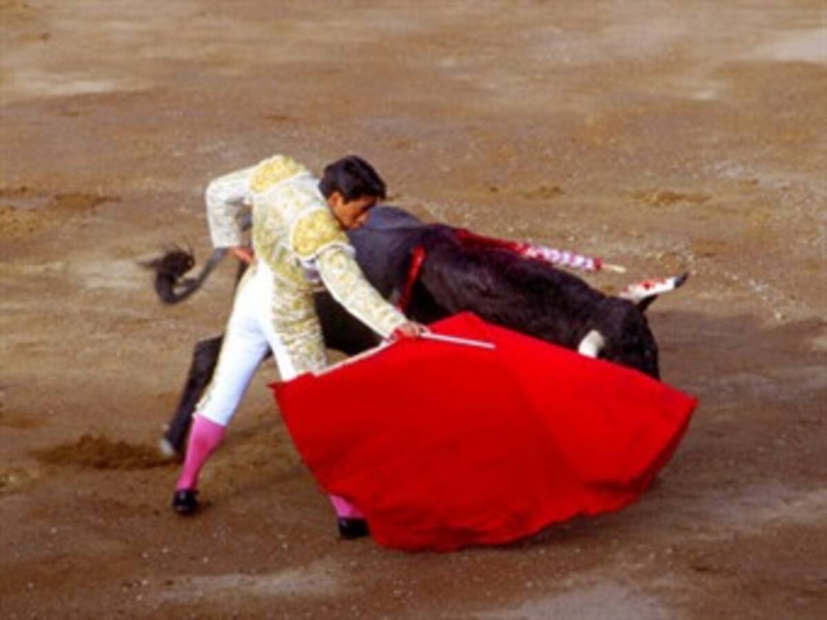 Consejo de Estado dice que los animales tienen derecho a una muerte digna