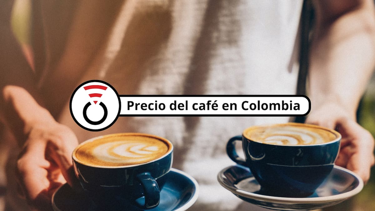 Precio del café en Colombia HOY 15 de julio de 2026: Continúa presentando reducciones en su valor