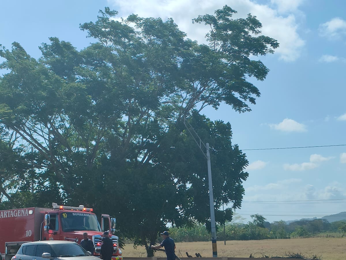 La Sevillana pide a Aguas de Cartagena instalar tuberías y medidores por falta de agua