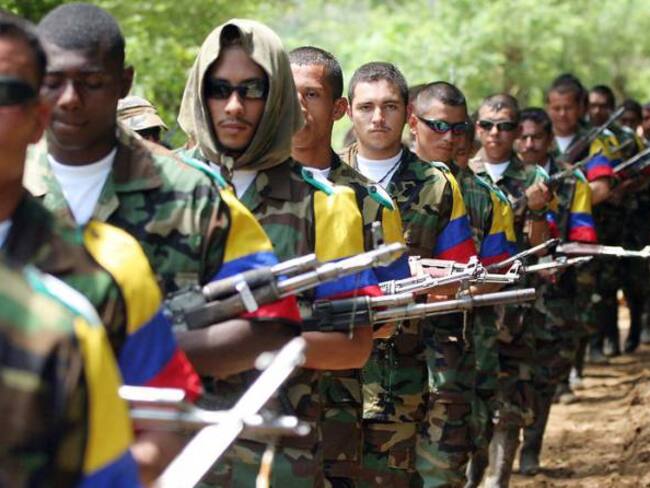 Cachicamo y Charras, las dos zonas de concentración de las Farc en Guaviare