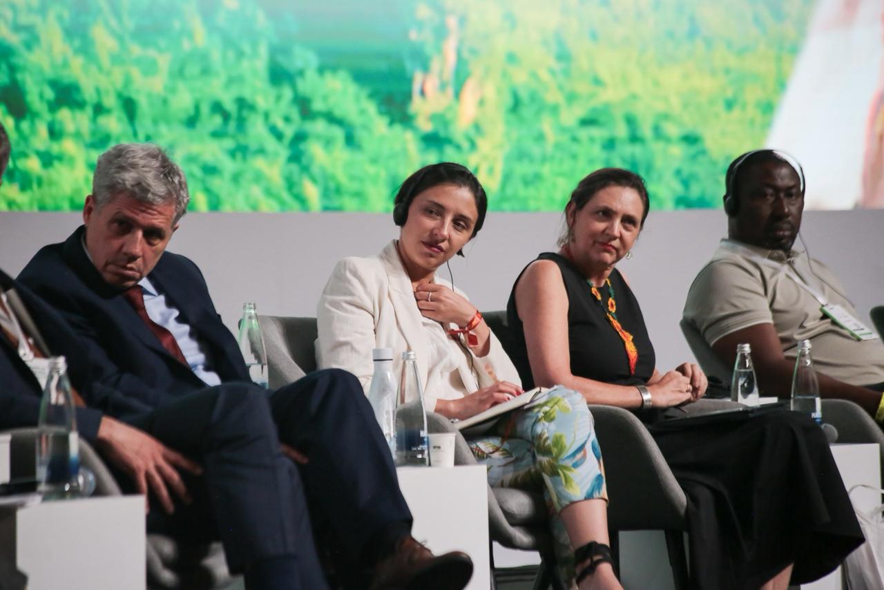 En los últimos 20 años solo el 35% de las tierras en el mundo cuentan con documentación