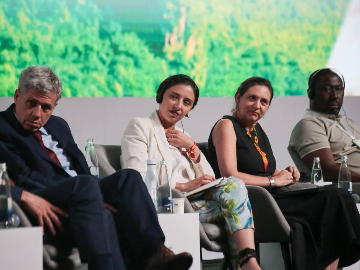 En los últimos 20 años solo el 35% de las tierras en el mundo cuentan con documentación