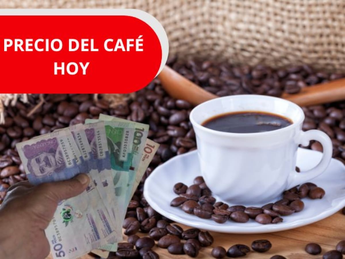 Precio del café en Colombia HOY 24 de marzo según la FNC: Leve aumento durante la semana