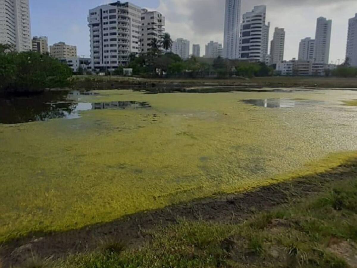 “Llevamos cinco meses pidiendo una retroexavadora”: vecinos de El Laguito