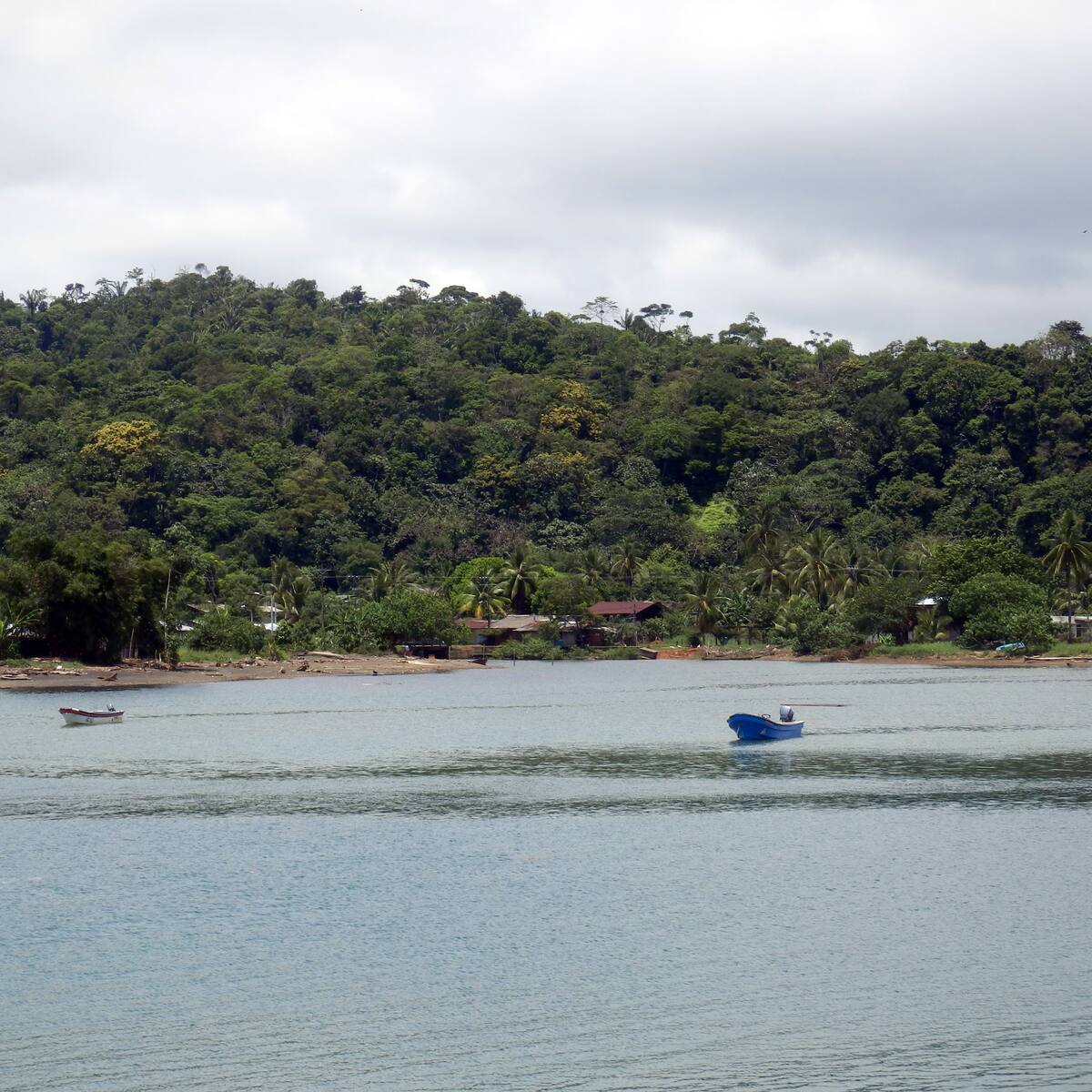 ¿Cuál es el municipio del Chocó más antiguo? Habita el 10,47 % de la población departamental