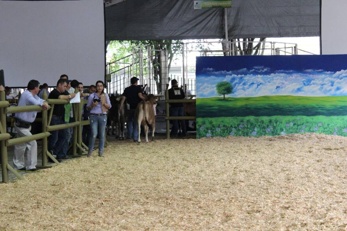 Expocolanta: la feria de la ganadería, porcicultura y la leche en Plaza Mayor.