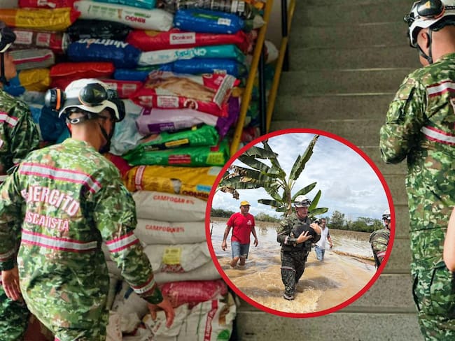 Bogotá envía 10 toneladas de alimento para animales afectados por lluvias en Córdoba