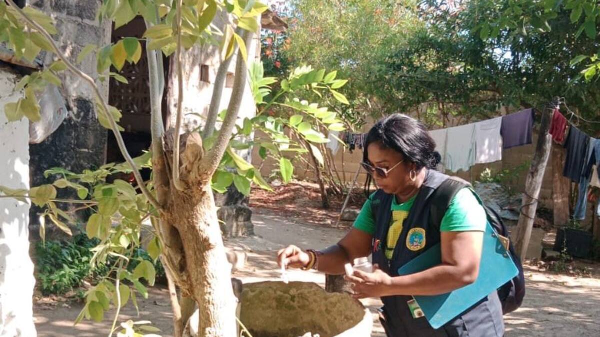 Cartagena reporta reducción en casos de dengue: este año se han aplicado más de 5.400 vacunas
