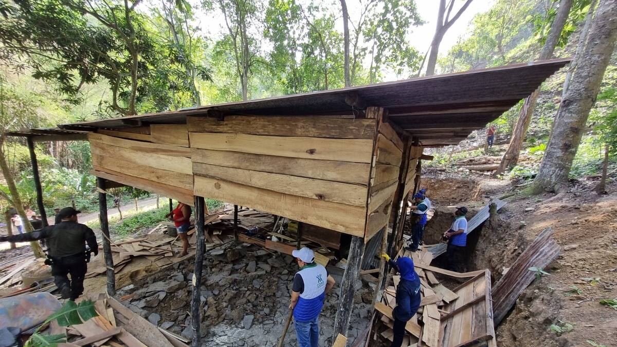 Destruyen cambuche construido ilegalmente en la escarpa occidental