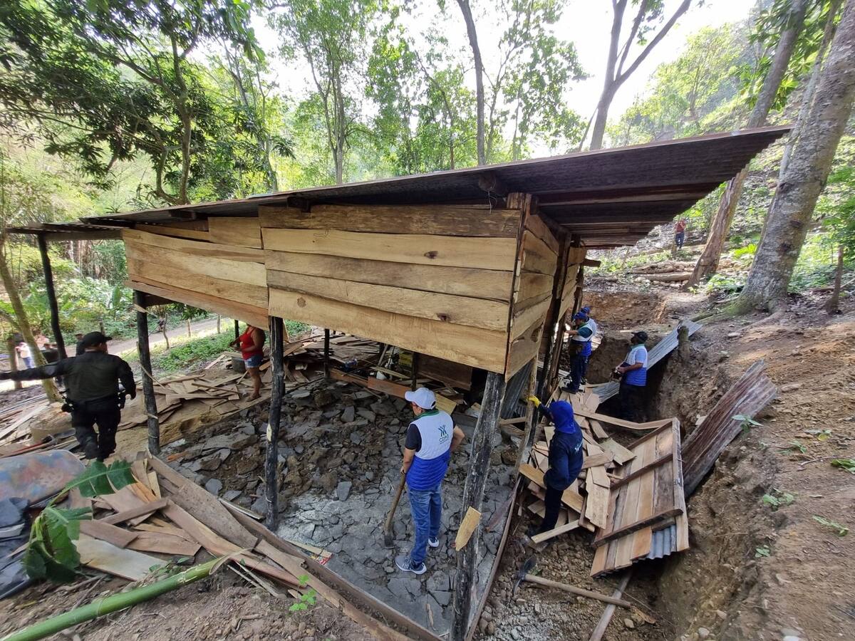 Destruyen cambuche construido ilegalmente en la escarpa occidental