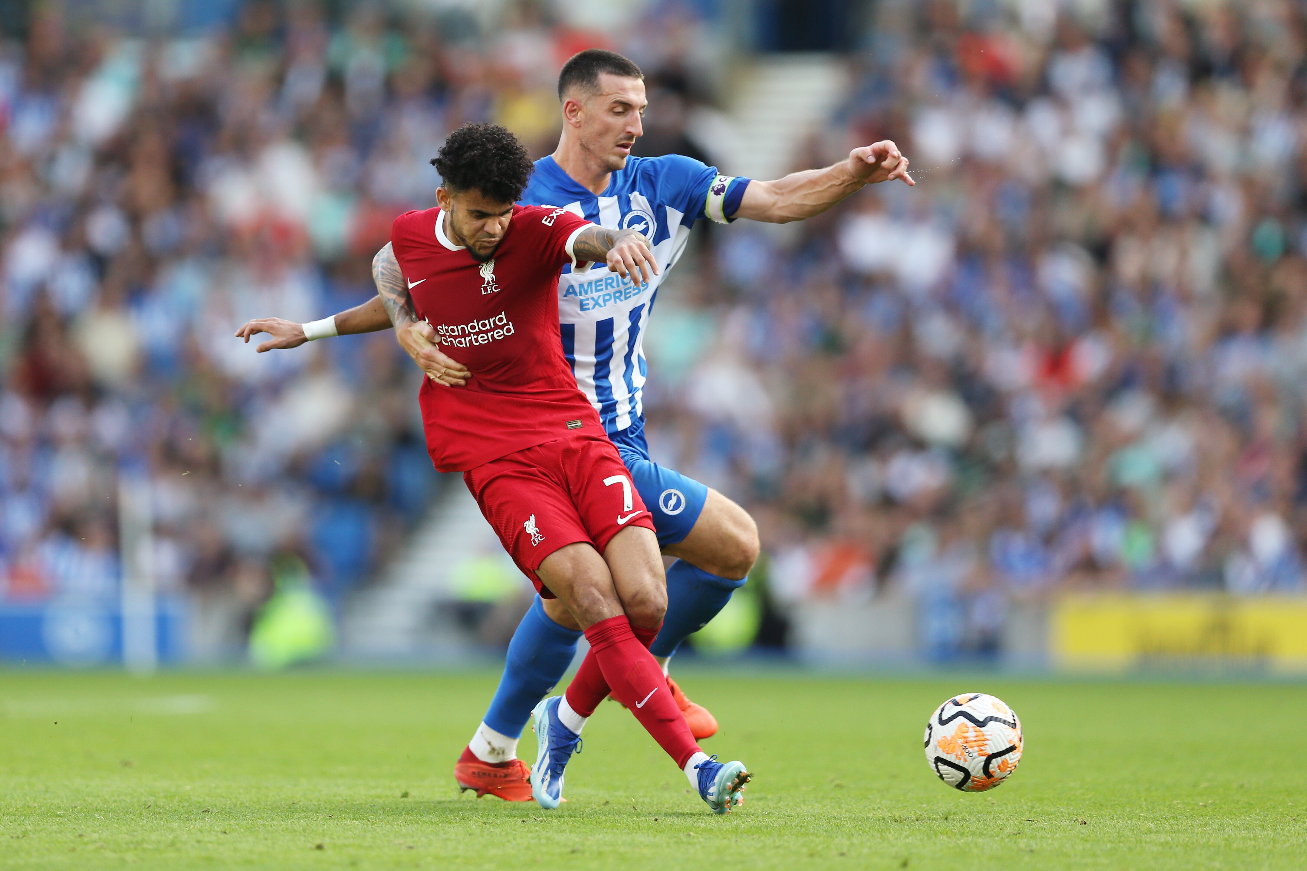 Luis Díaz disputa una pelota con el capitán del Brighton, Lewis Dunk. (Photo by Steve Bardens/Getty Images)