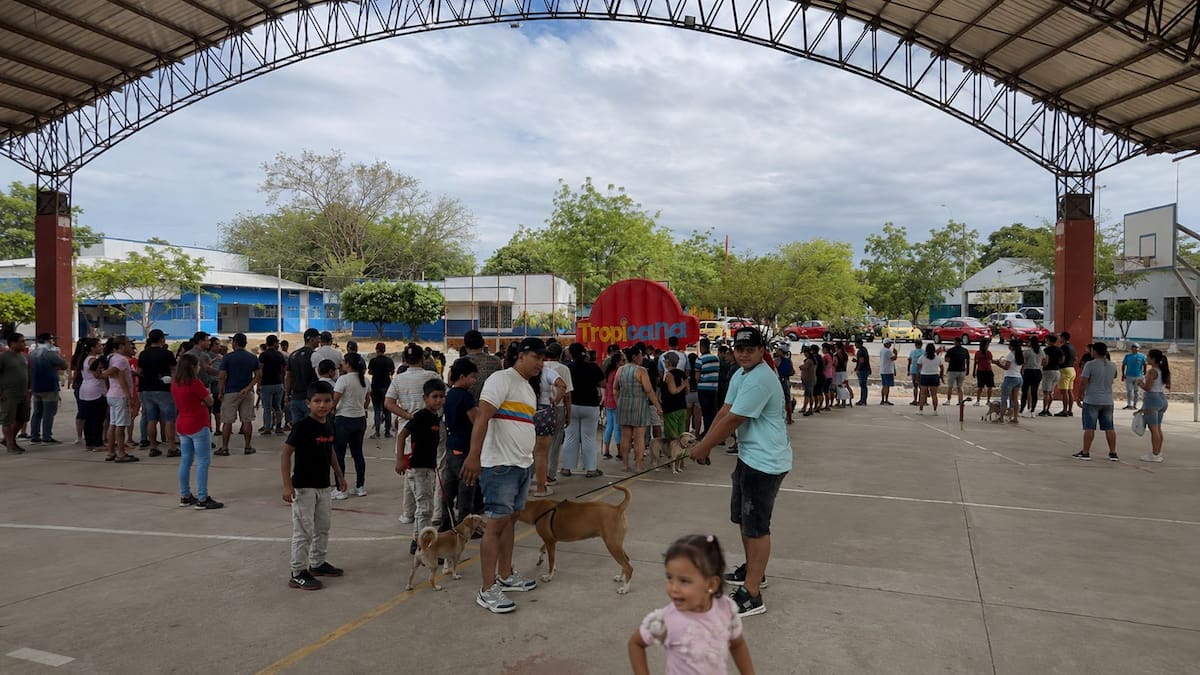 Jornada gratuita de bienestar animal atendió a más de 300 mascotas en el sur de Neiva